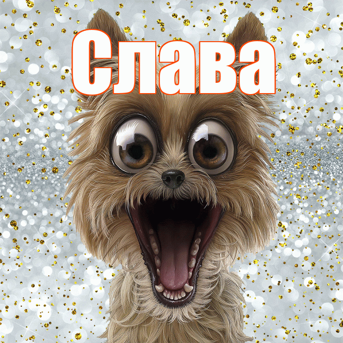 Слава! Хорошего настроения! Красивая открытка Славе!