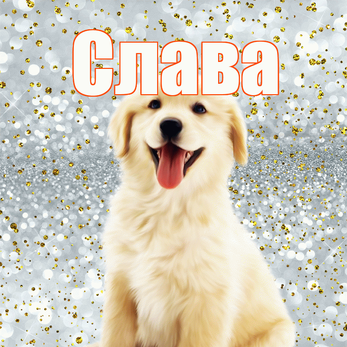 Слава! Хорошего настроения! Красивая открытка Славе!