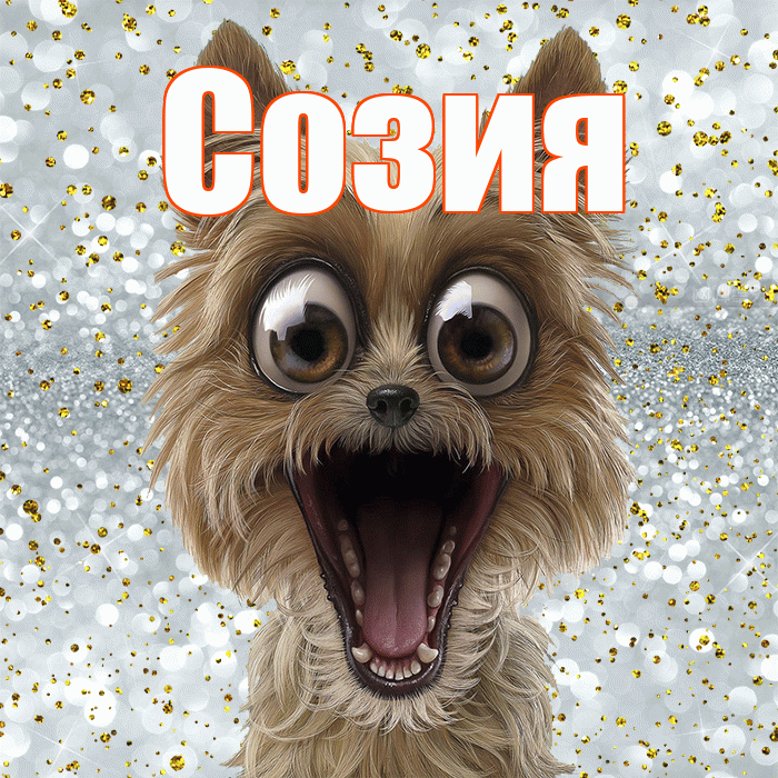 Созия! Хорошего настроения! Красивая открытка Созии!