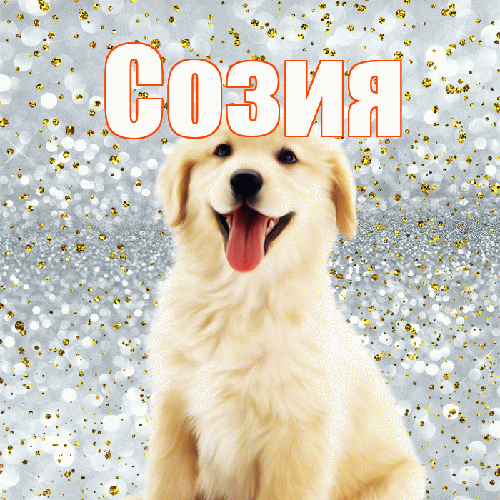 Созия! Хорошего настроения! Красивая открытка Созии!
