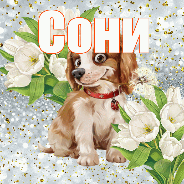 Сони! Хорошего настроения! Красивая открытка !