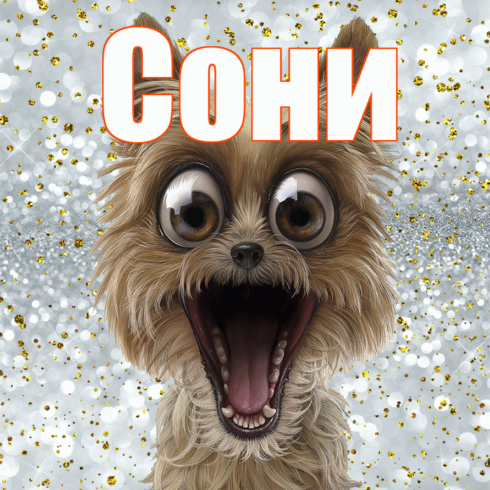 Сони! Хорошего настроения! Красивая открытка !