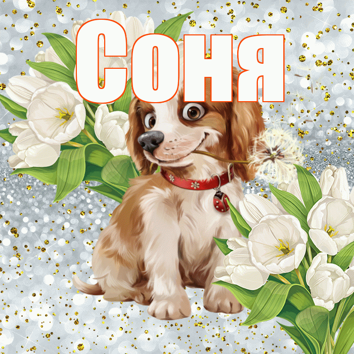 Соня! Хорошего настроения! Красивая открытка Соне!