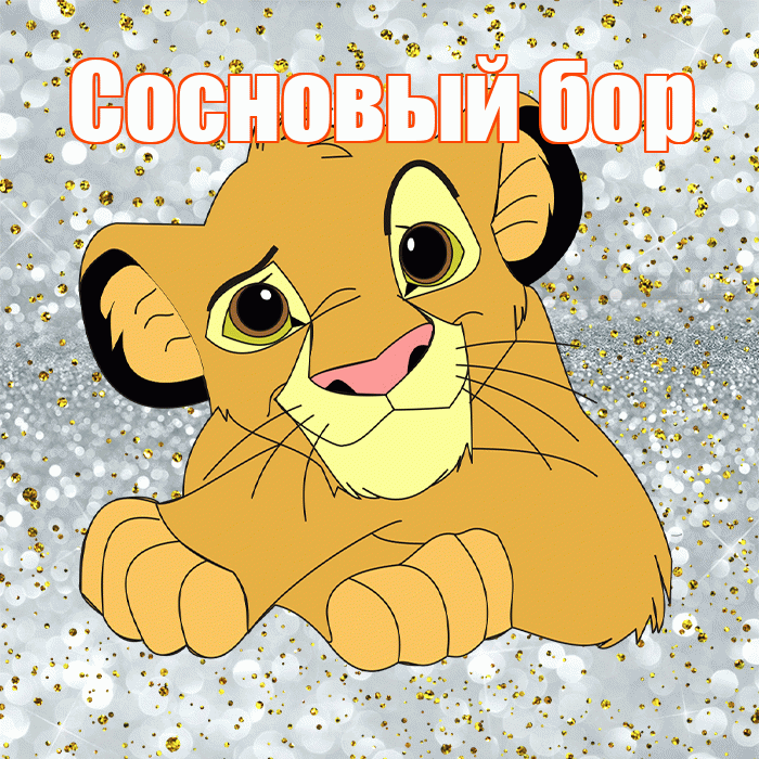 Сосновый бор! Хорошего настроения! Красивая открытка !