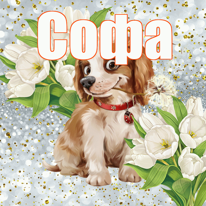Софа! Хорошего настроения! Красивая открытка Софе!
