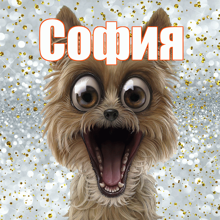 София! Хорошего настроения! Красивая открытка Софии!