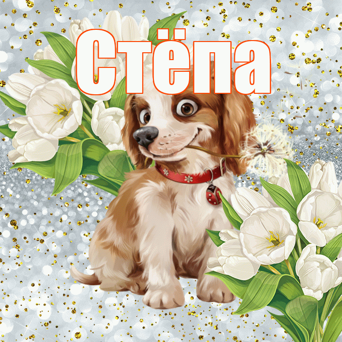 Стёпа! Хорошего настроения! Красивая открытка !