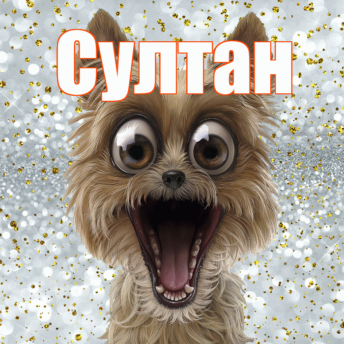 Султан! Хорошего настроения! Красивая открытка Султану!