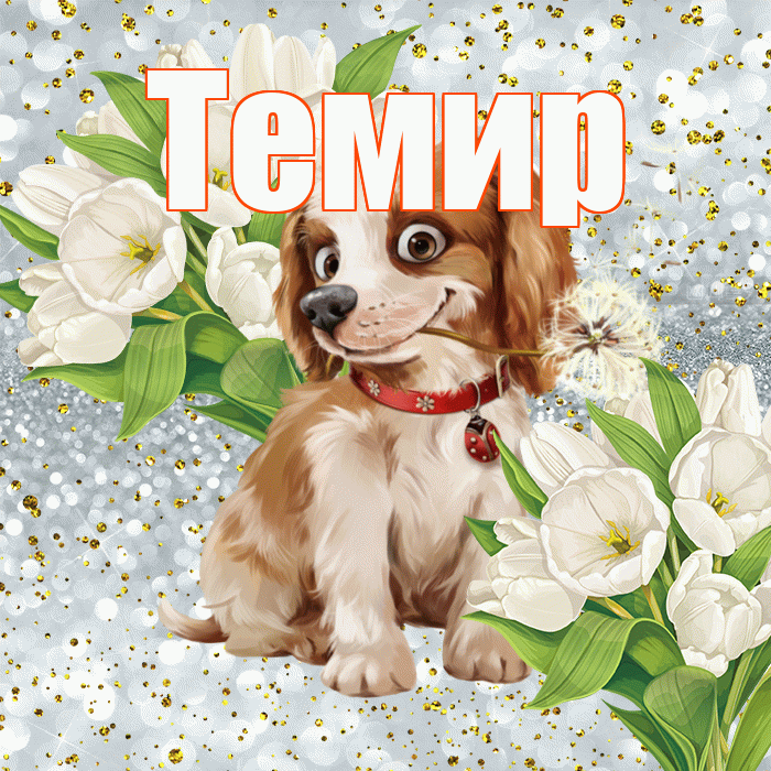 Темир! Хорошего настроения! Красивая открытка Темиру!