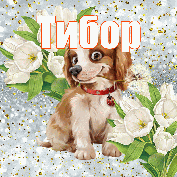 Тибор! Хорошего настроения! Красивая открытка Тибору!