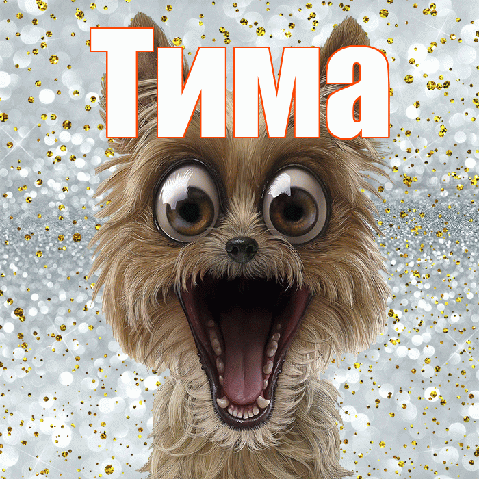 Тима! Хорошего настроения! Красивая открытка Тиму!