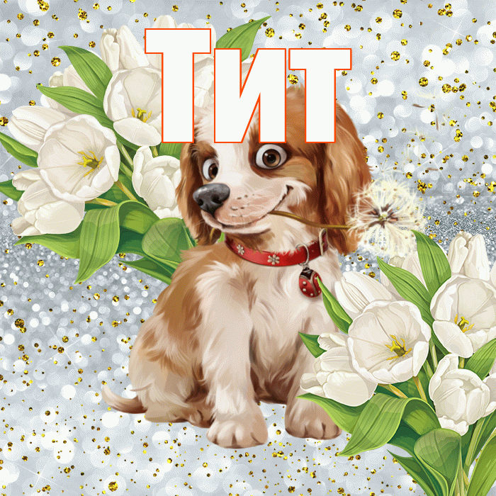 Тит! Хорошего настроения! Красивая открытка Титу!