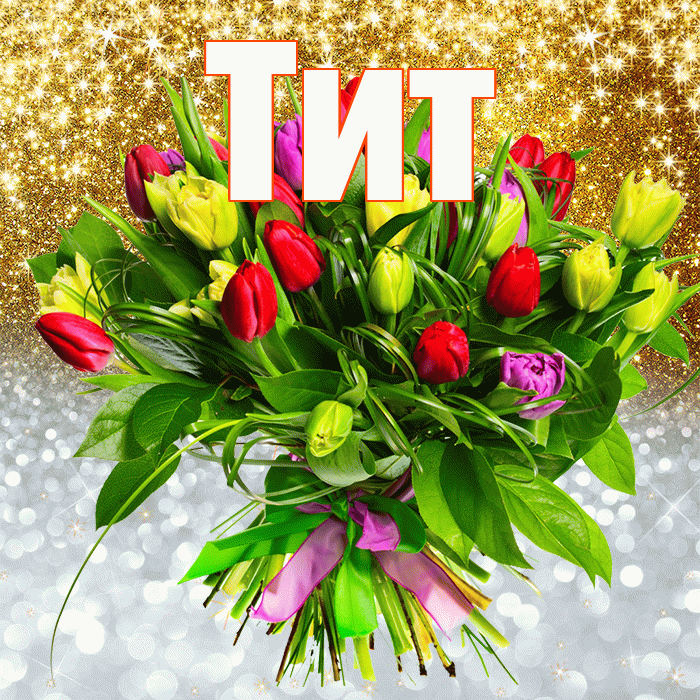 Тит! Хорошего настроения! Красивая открытка Титу!