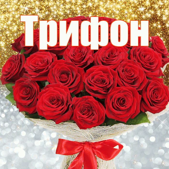 Трифон! Хорошего настроения! Красивая открытка Трифону!