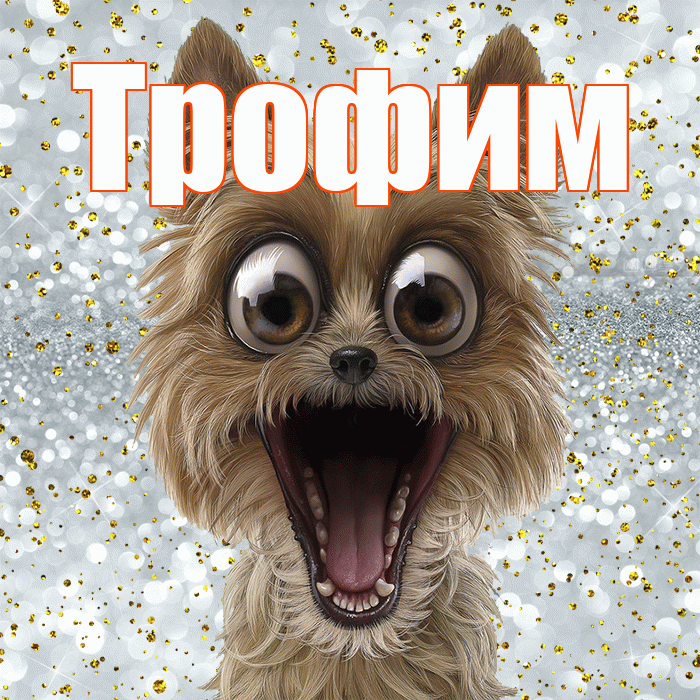 Трофим! Хорошего настроения! Красивая открытка Трофиму!