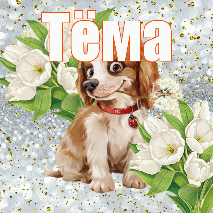 Тёма! Хорошего настроения! Красивая открытка !