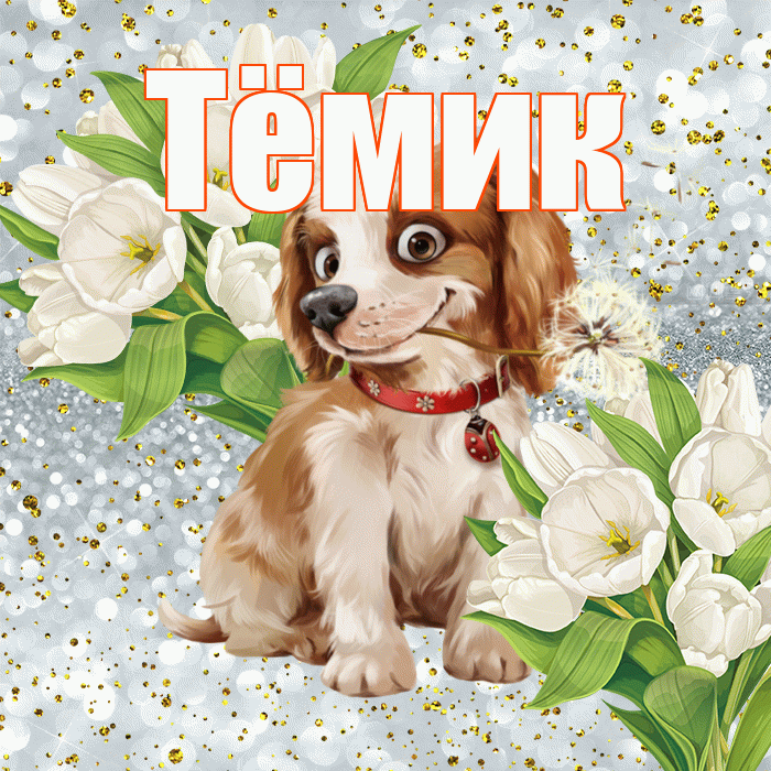 Тёмик! Хорошего настроения! Красивая открытка !