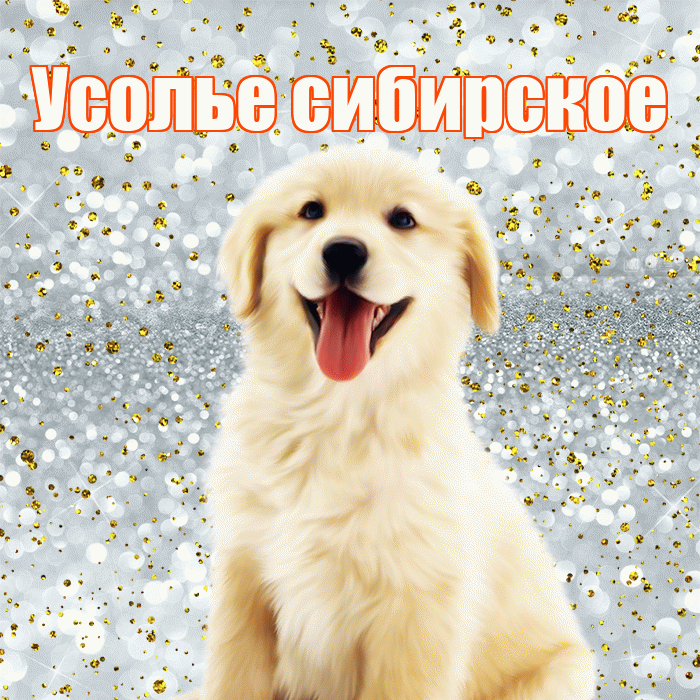 Усолье сибирское! Хорошего настроения! Красивая открытка !