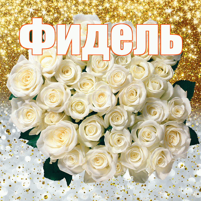 Фидель! Хорошего настроения! Красивая открытка Фиделю!