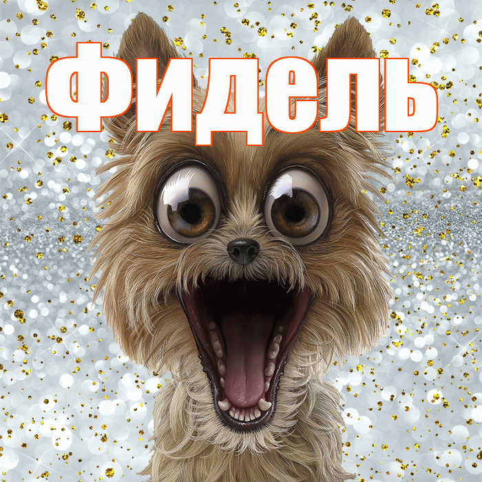 Фидель! Хорошего настроения! Красивая открытка Фиделю!