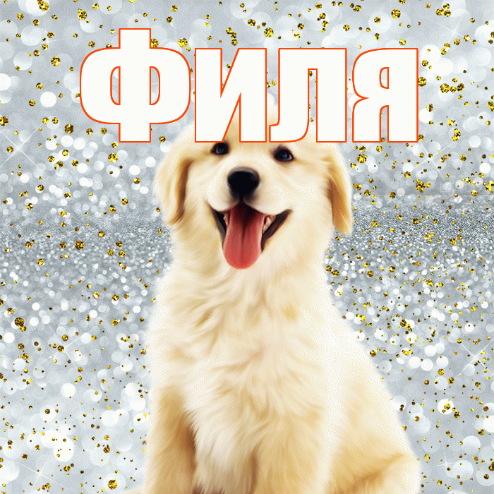 Филя! Хорошего настроения! Красивая открытка Филе!