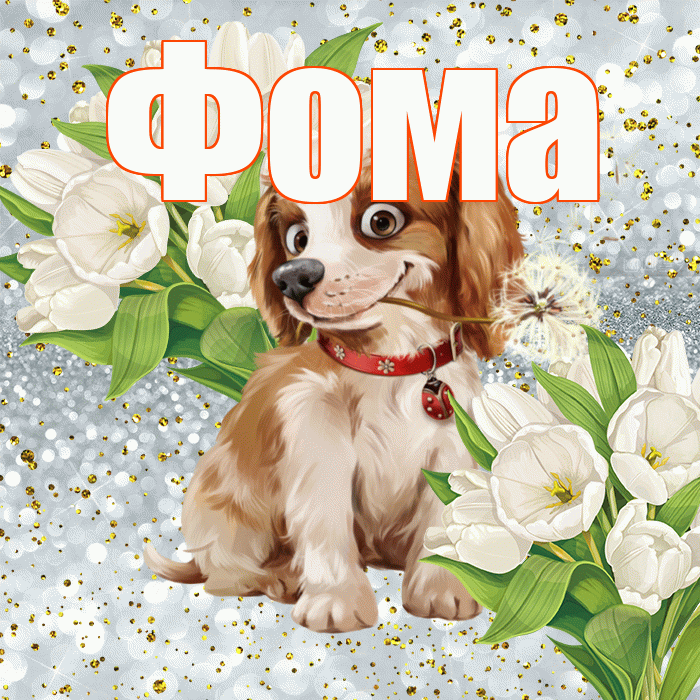 Фома! Хорошего настроения! Красивая открытка Фоме!