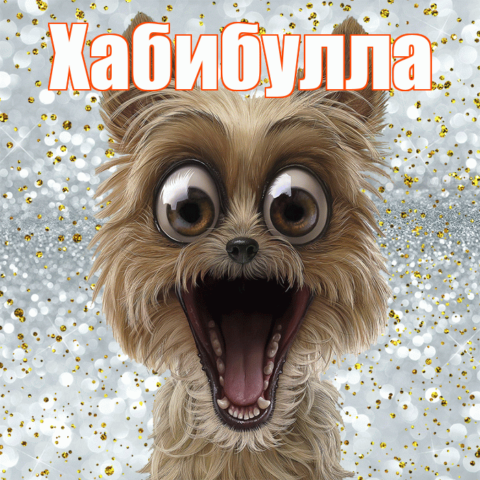 Хабибулла! Хорошего настроения! Красивая открытка Хабибулле!