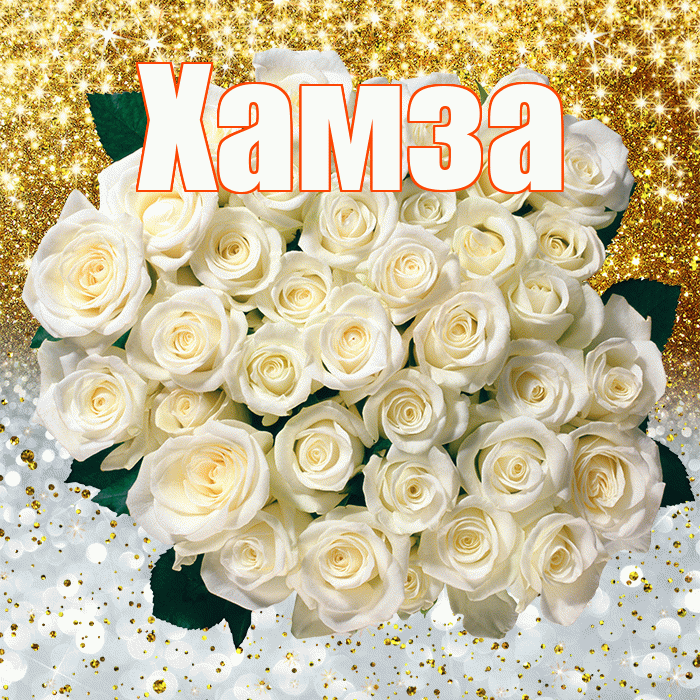 Хамза! Хорошего настроения! Красивая открытка Хамзе!