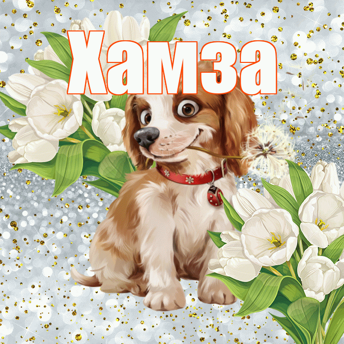 Хамза! Хорошего настроения! Красивая открытка Хамзе!