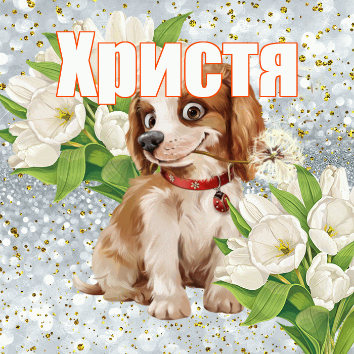 Христя! Хорошего настроения! Красивая открытка Христе!