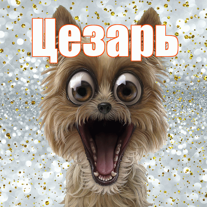 Цезарь! Хорошего настроения! Красивая открытка Цезарю!