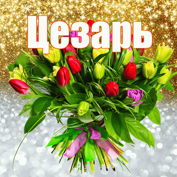 Цезарь! Хорошего настроения! Красивая открытка Цезарю!