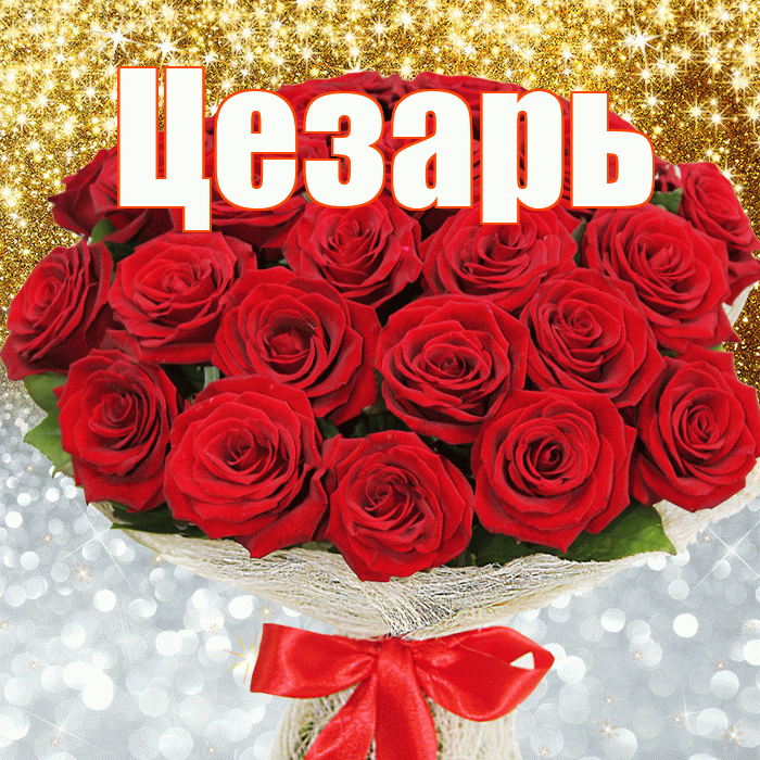 Цезарь! Хорошего настроения! Красивая открытка Цезарю!
