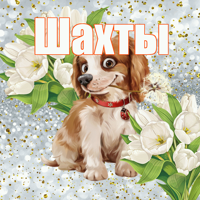 Шахты! Хорошего настроения! Красивая открытка Шахты!