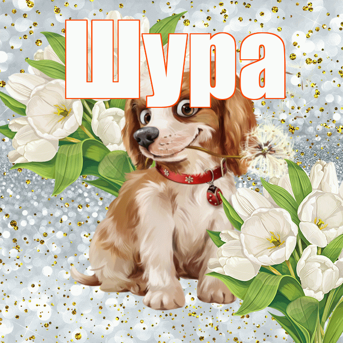 Шура! Хорошего настроения! Красивая открытка !