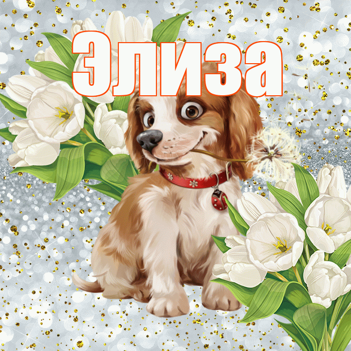 Элиза! Хорошего настроения! Красивая открытка Элизе!