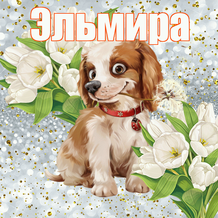 Эльмира! Хорошего настроения! Красивая открытка Эльмире!