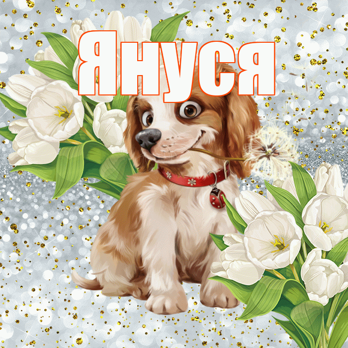 Януся! Хорошего настроения! Красивая открытка !