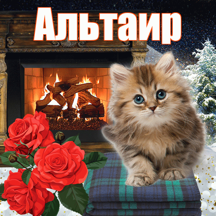 Альтаир! Чудесного зимнего вечера! Красивая открытка Альтаиру!