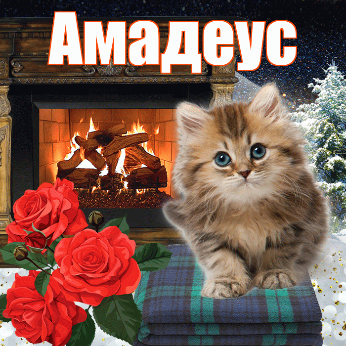 Амадеус! Чудесного зимнего вечера! Красивая открытка Амадеусу!