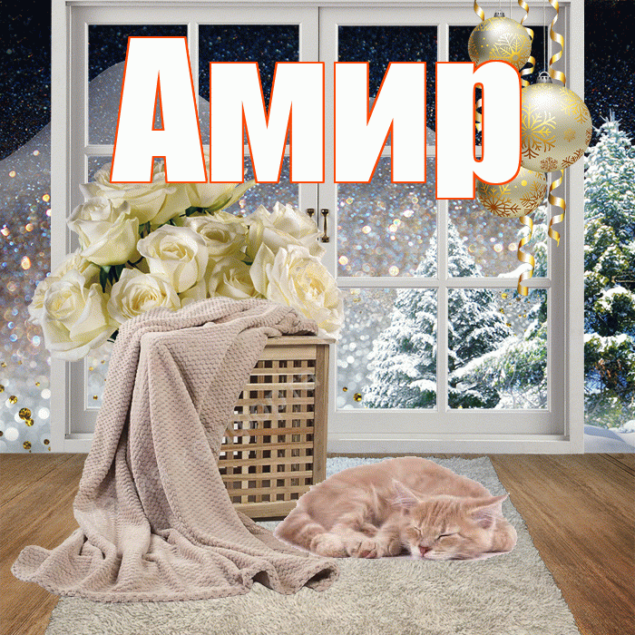 Амир! Чудесного зимнего вечера! Красивая открытка Амиру!