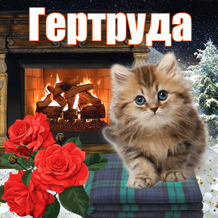Гертруда! Чудесного зимнего вечера! Красивая открытка Гертруде!