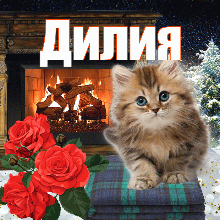 Дилия! Чудесного зимнего вечера! Красивая открытка Дилии!