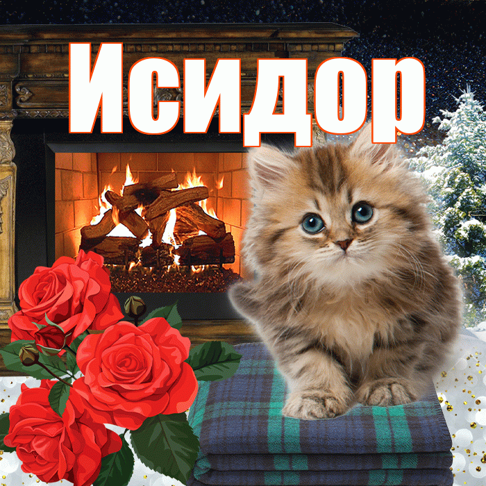 Исидор! Чудесного зимнего вечера! Красивая открытка Исидору!