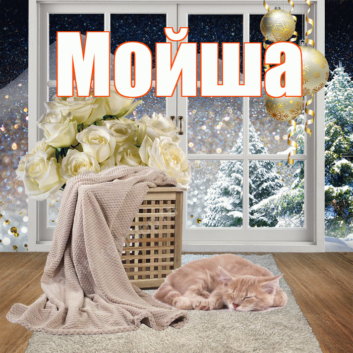 Мойша! Чудесного зимнего вечера! Красивая открытка !