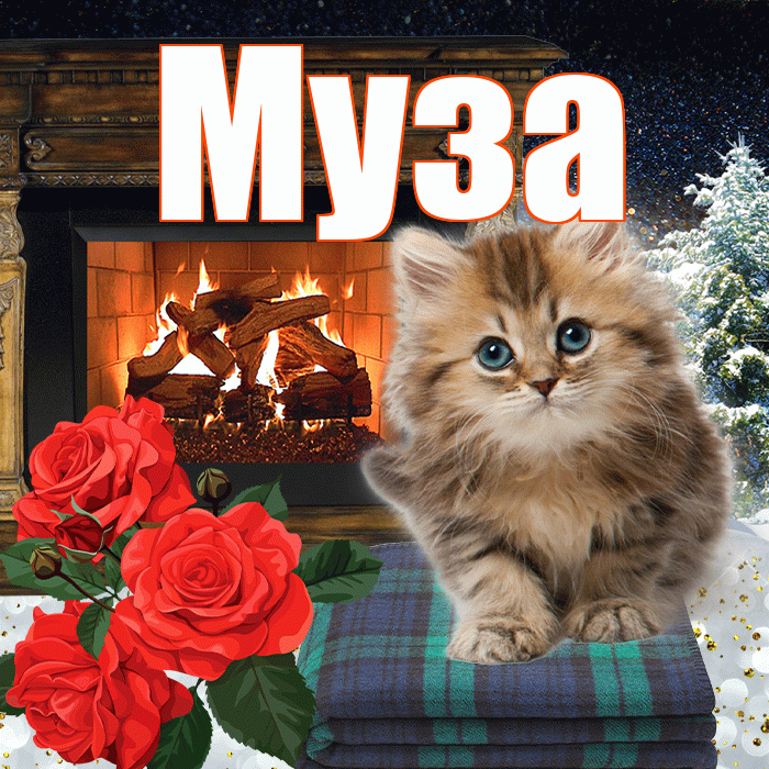 Муза! Чудесного зимнего вечера! Красивая открытка Музе!