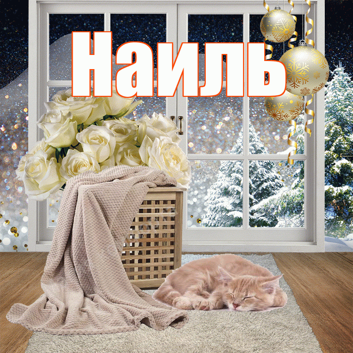 Наиль! Чудесного зимнего вечера! Красивая открытка Наилю!