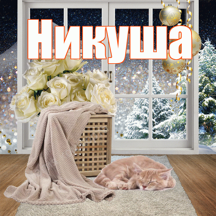Никуша! Чудесного зимнего вечера! Красивая открытка !