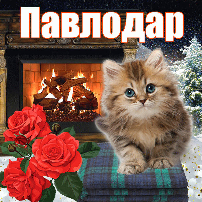 Павлодар! Чудесного зимнего вечера! Красивая открытка Павлодару!