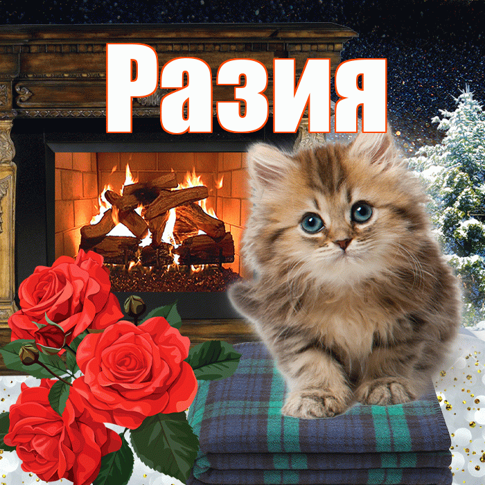 Разия! Чудесного зимнего вечера! Красивая открытка Разии!